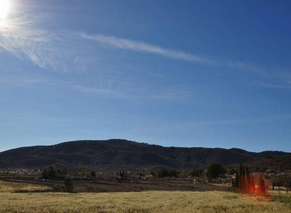 Venta - Terreno - Chinorlet - Rural location