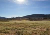 Venta - Terreno - Chinorlet - Rural location