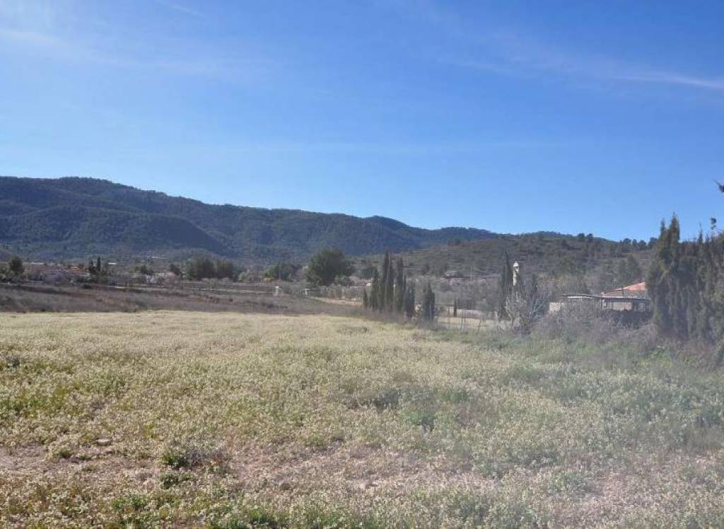 Venta - Terreno - Chinorlet - Rural location