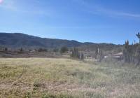 Venta - Terreno - Chinorlet - Rural location