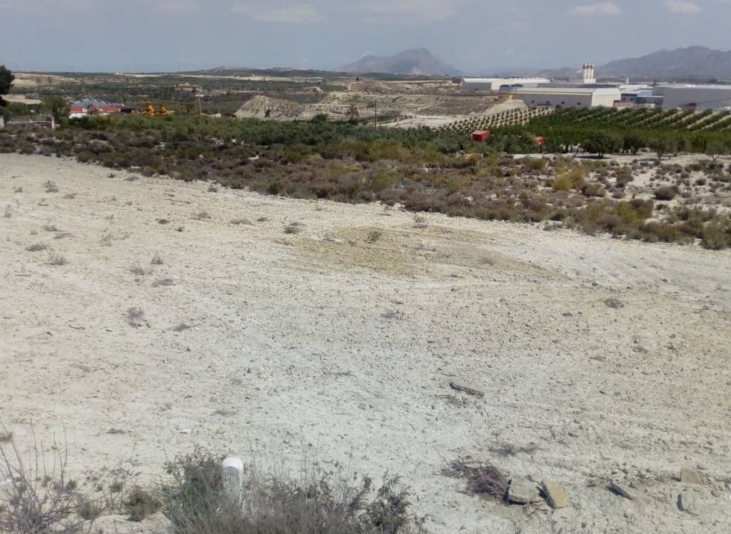 Venta - Terreno - Fortuna - Rural location