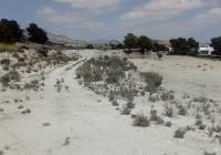 Venta - Terreno - Fortuna - Rural location