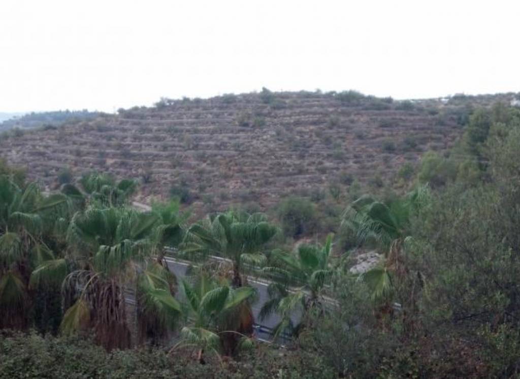 Venta - Terreno - Gandia - Rural location