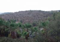 Venta - Terreno - Gandia - Rural location