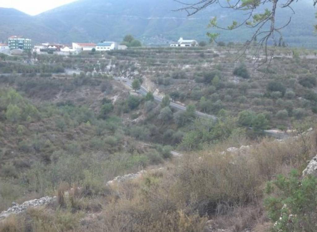 Venta - Terreno - Gandia - Rural location