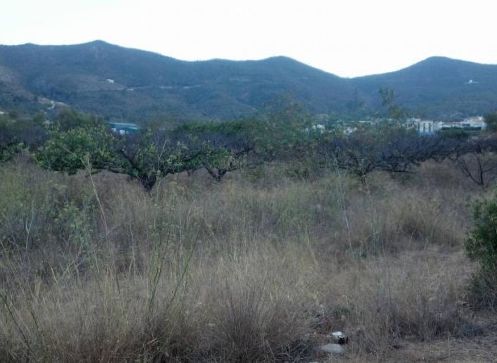 Venta - Terreno - Gandia - Rural location