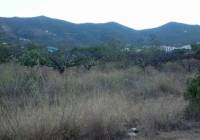 Venta - Terreno - Gandia - Rural location