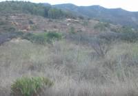 Venta - Terreno - Gandia - Rural location