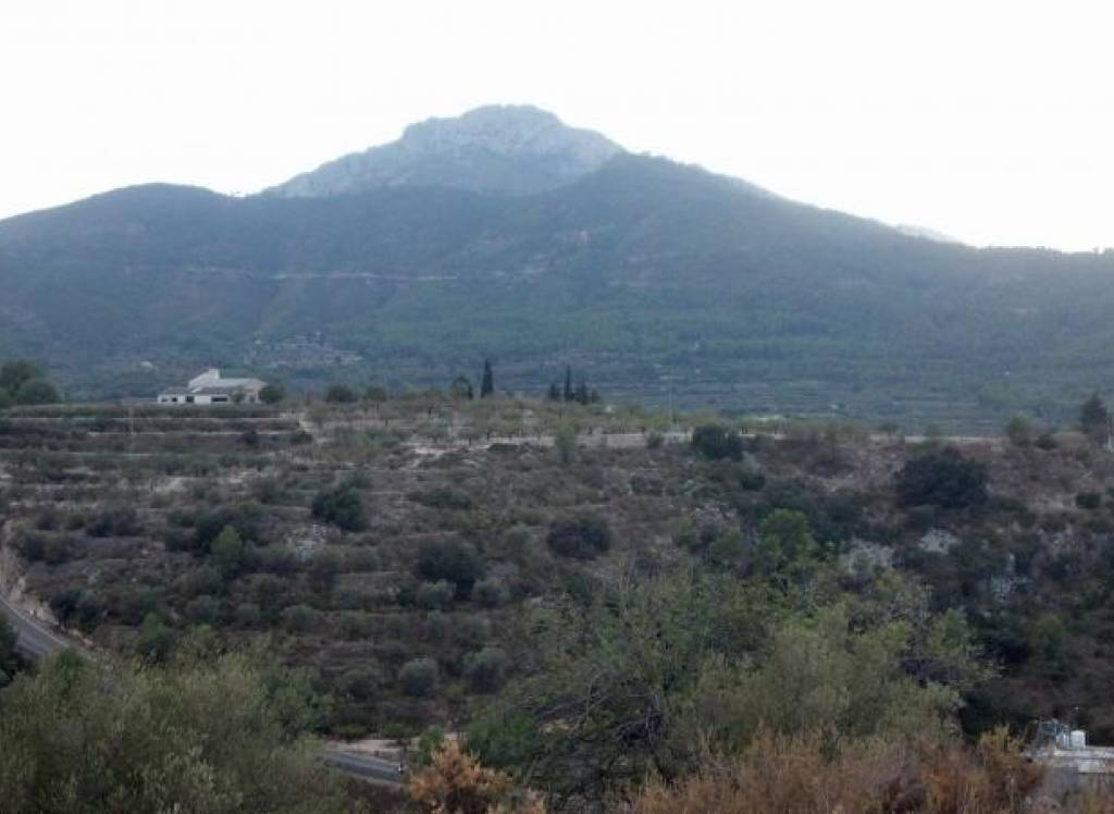 Venta - Terreno - Gandia - Rural location