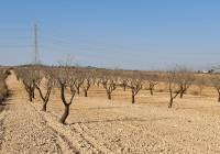 Venta - Terreno - Jumilla - Rural location