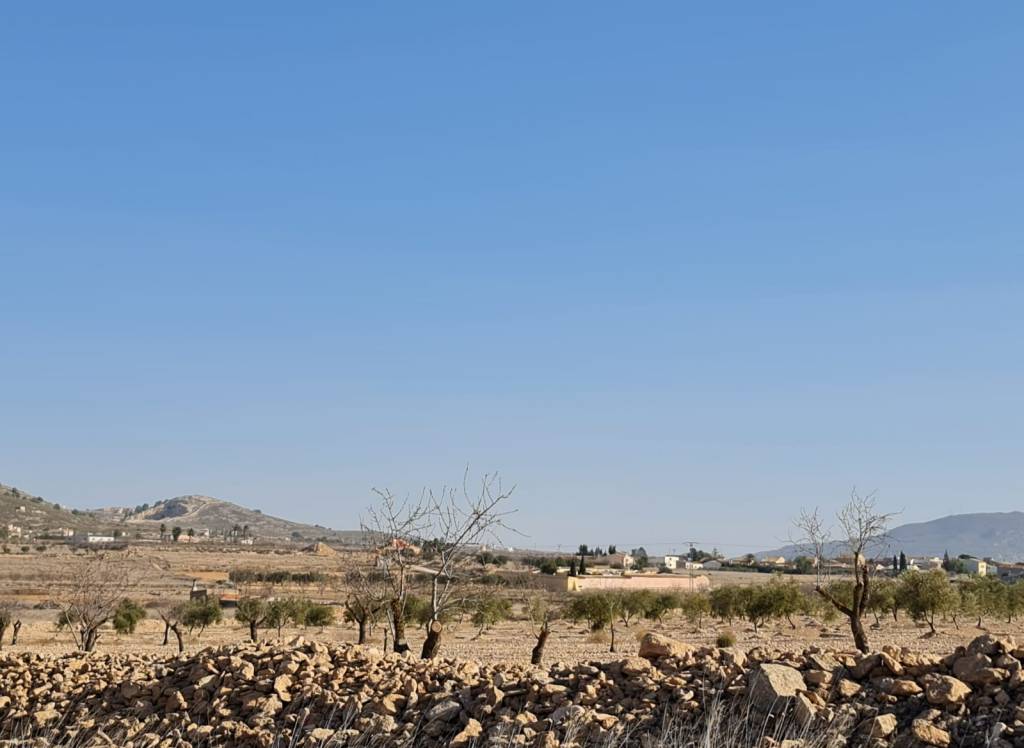 Venta - Terreno - Jumilla - Rural location