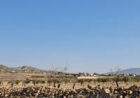Venta - Terreno - Jumilla - Rural location