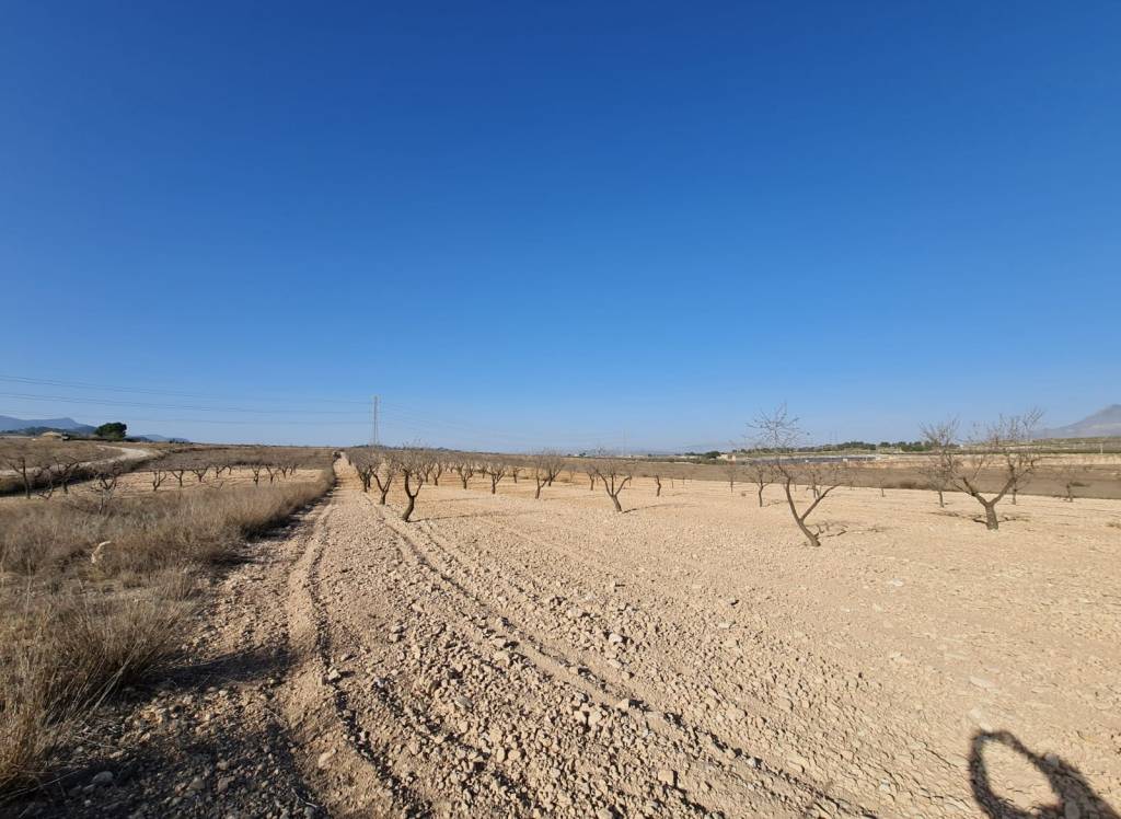 Venta - Terreno - Jumilla - Rural location