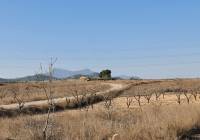 Venta - Terreno - Jumilla - Rural location
