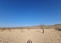 Venta - Terreno - Jumilla - Rural location