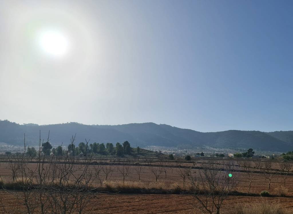 Venta - Terreno - Jumilla - Rural location