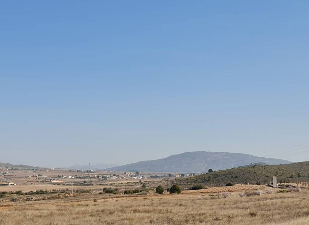 Venta - Terreno - Jumilla - Rural location