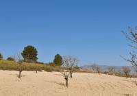 Venta - Terreno - Jumilla - Rural location