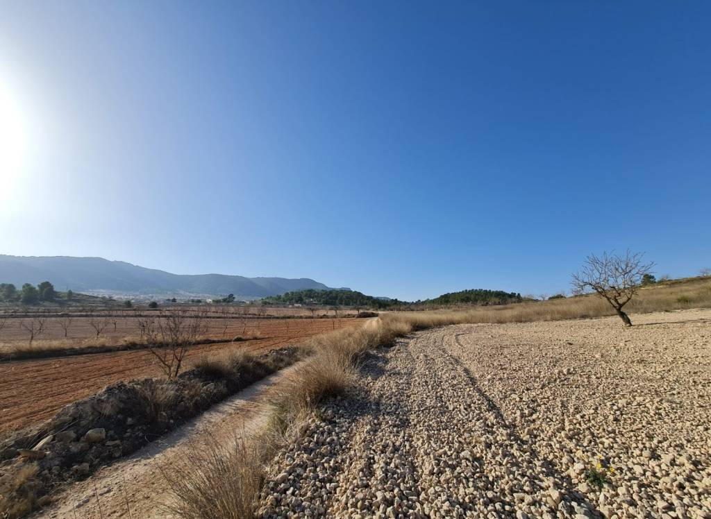 Venta - Terreno - Jumilla - Rural location