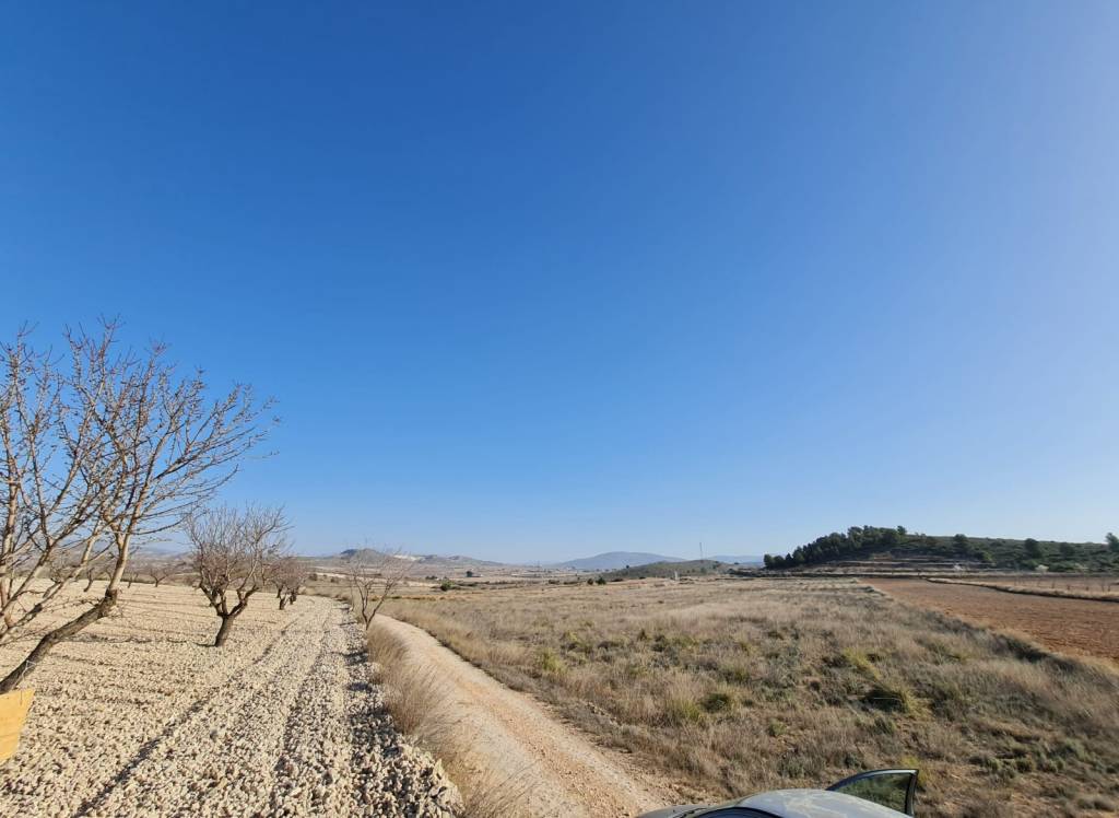 Venta - Terreno - Jumilla - Rural location