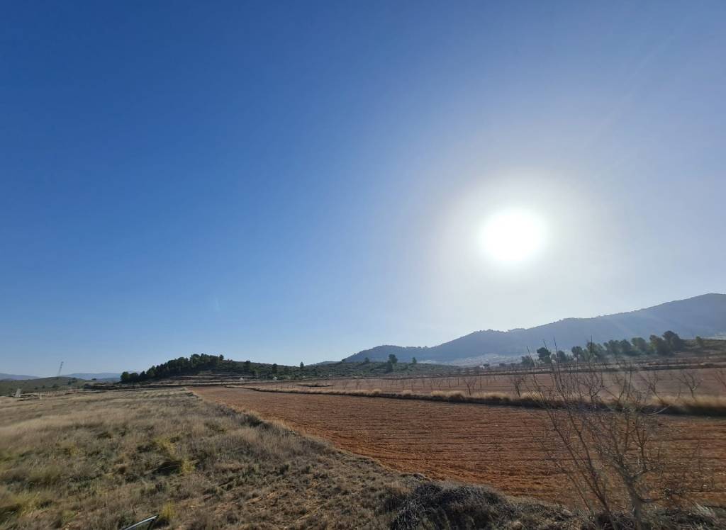 Venta - Terreno - Jumilla - Rural location