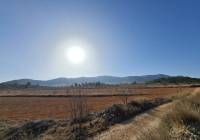 Venta - Terreno - Jumilla - Rural location