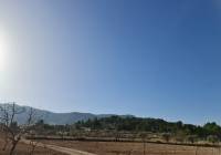 Venta - Terreno - Jumilla - Rural location