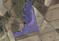 Venta - Terreno - Jumilla - Rural location