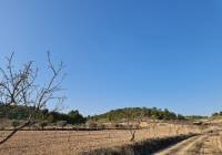 Venta - Terreno - Jumilla - Rural location
