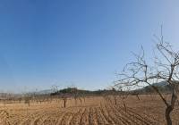 Venta - Terreno - Jumilla - Rural location