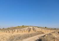 Venta - Terreno - Jumilla - Rural location