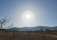 Venta - Terreno - Jumilla - Rural location