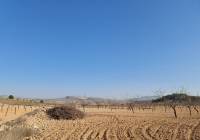 Venta - Terreno - Jumilla - Rural location