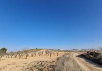 Venta - Terreno - Jumilla - Rural location