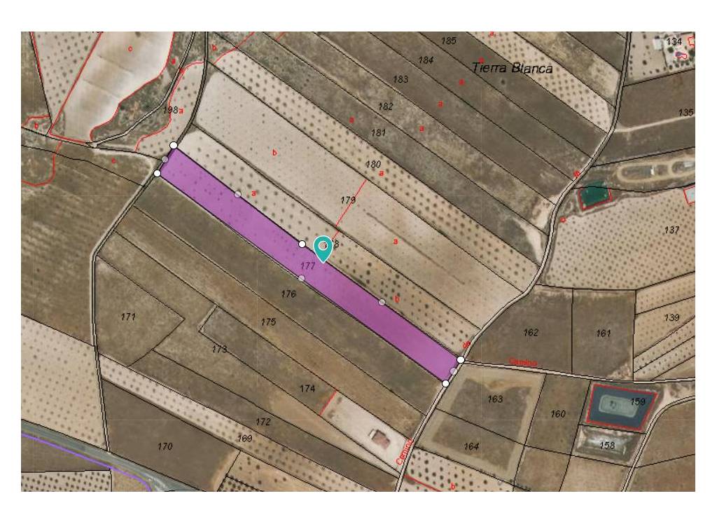 Venta - Terreno - Jumilla - Rural location