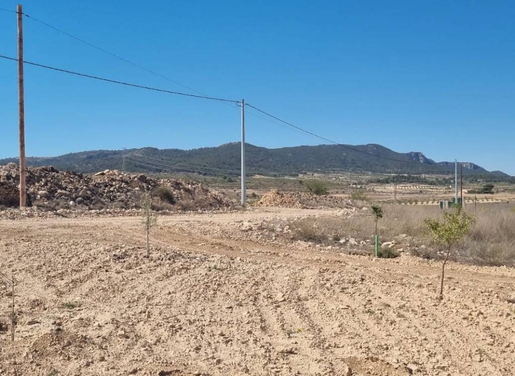 Venta - Terreno - Jumilla - Rural location