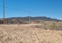 Venta - Terreno - Jumilla - Rural location