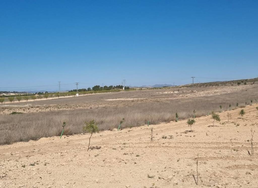 Venta - Terreno - Jumilla - Rural location