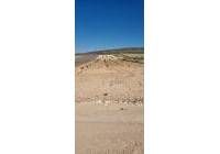 Venta - Terreno - Jumilla - Rural location