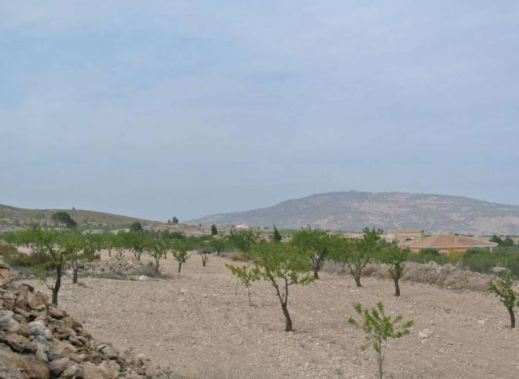 Venta - Terreno - Jumilla - Rural location