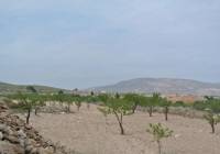 Venta - Terreno - Jumilla - Rural location