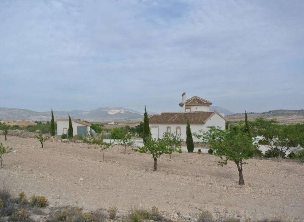Venta - Terreno - Jumilla - Rural location