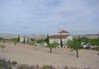 Venta - Terreno - Jumilla - Rural location
