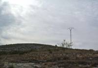 Venta - Terreno - Jumilla - Rural location