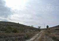 Venta - Terreno - Jumilla - Rural location