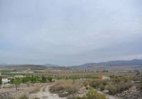 Venta - Terreno - Jumilla - Rural location