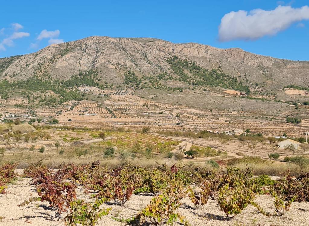 Venta - Terreno - La Romana - Rural location