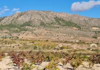 Venta - Terreno - La Romana - Rural location