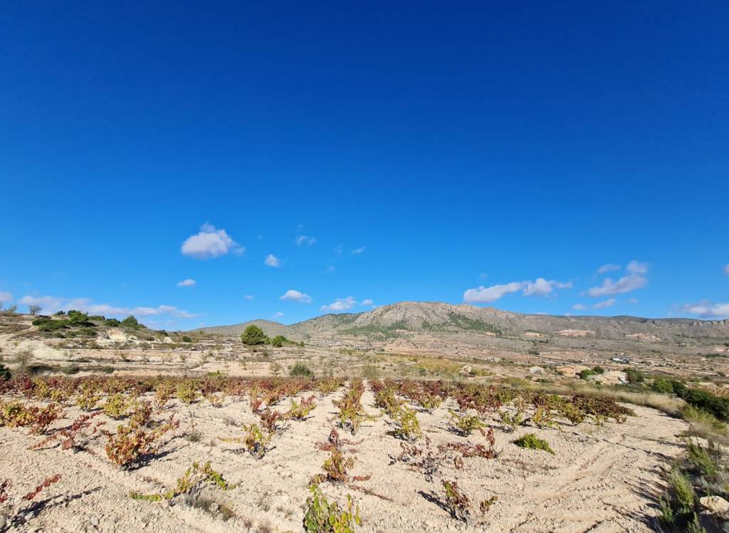 Venta - Terreno - La Romana - Rural location