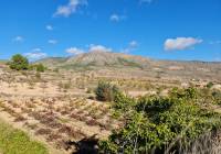 Venta - Terreno - La Romana - Rural location